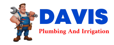 Trusted plumber in ODIN